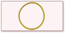 Custom Colored O-Ring